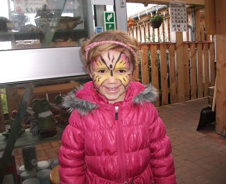Snowdonia nurseries whirlwind 2