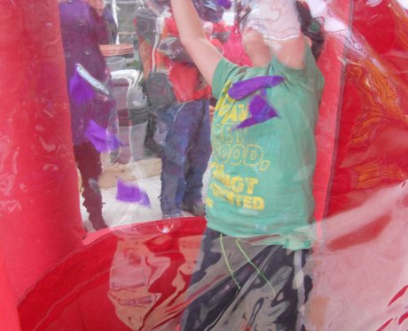 Snowdonia nurseries whirlwind 4