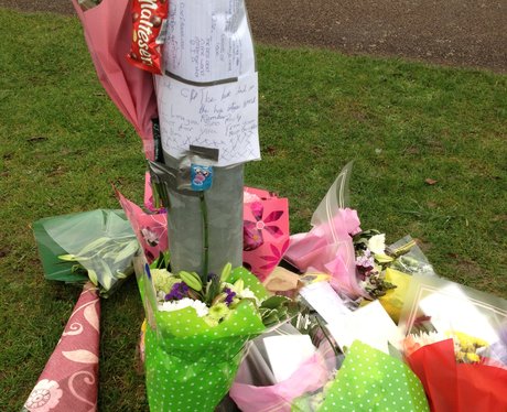 Hitchin stab death