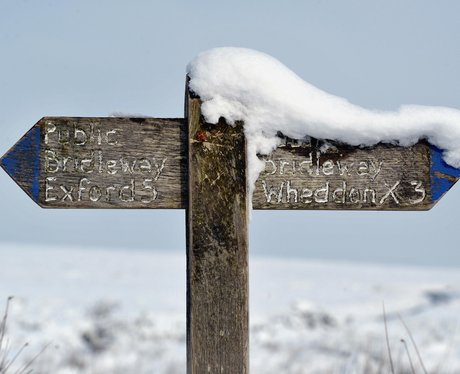 winter