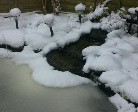 Linslade Snow On Pond