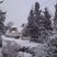Image 8: Snow Pics from Facebook
