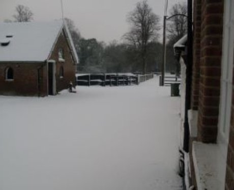 Snow Pics from Facebook