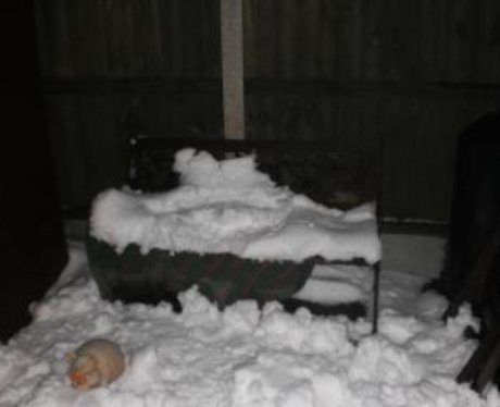 Snowy Essex