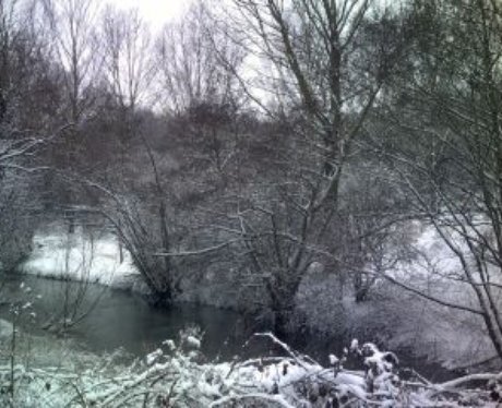 Snowy Essex