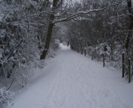 Snowy Essex