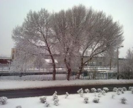 Snowy Essex