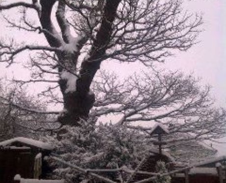 Snowy Essex