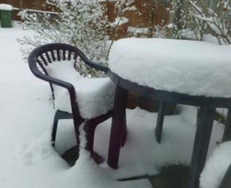 Snowy Essex