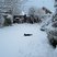 Image 9: Snowy Essex