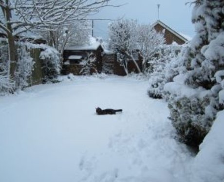 Snowy Essex