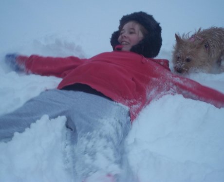 snow photos