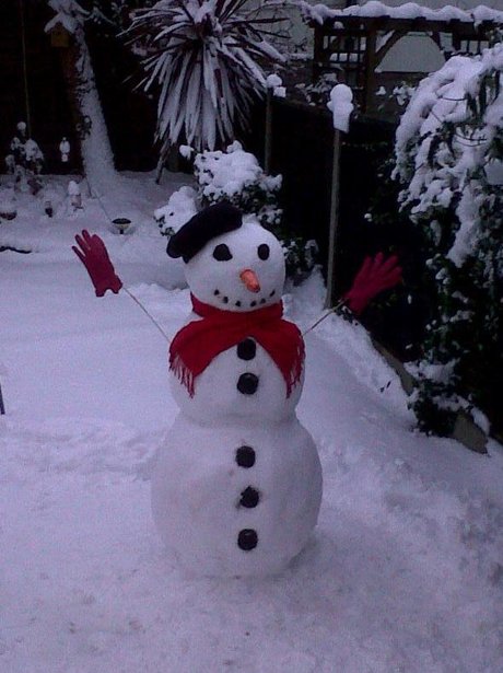 snow photos