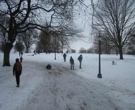 Your Snow Pics