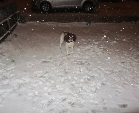 Your Snow Pics
