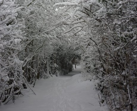 Your Snow Pics