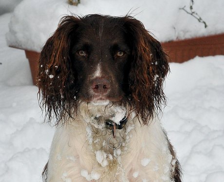 Hertfordshire snow pictures