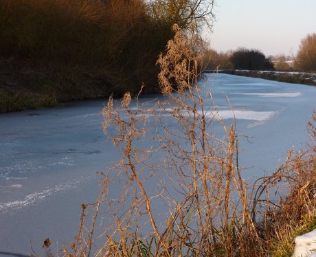 Snowy Essex