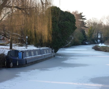 Snowy Essex