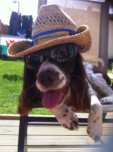Daleside Pet Pics Competition