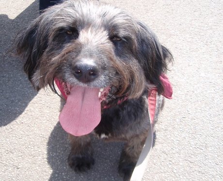 Daleside Pet Pics Competition