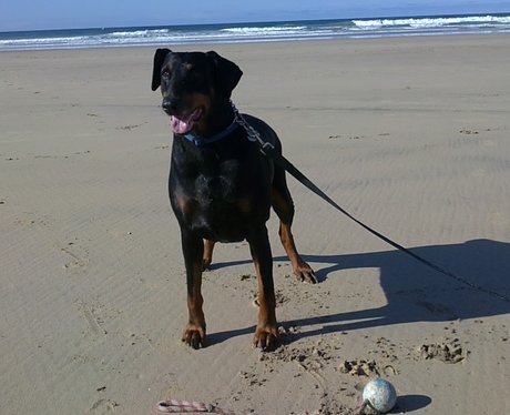 Daleside Pet Pics Competition
