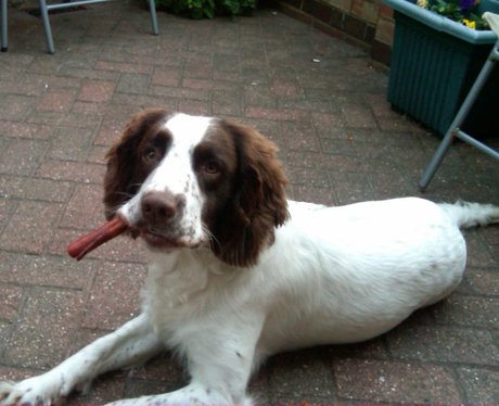 Daleside Pet Pics Competition