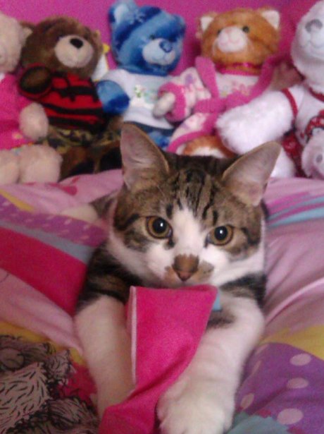 Daleside Pet Pics Competition
