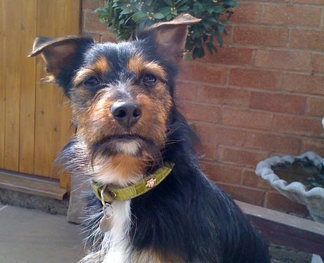 Daleside Pet Pics Competition