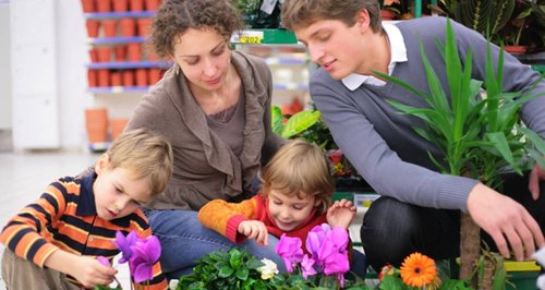 Join Us At Cherry Lane Garden Centre S Family Fun Day Heart Four