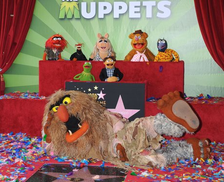 The Muppets' Hollywood Walk of Fame Star - Heart