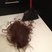 Image 5: Victoria Beckham haircut