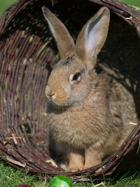 easter