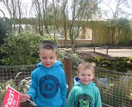fun at Drusillas
