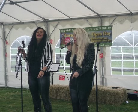 Hopefield Animal Sanctuary Fun Day