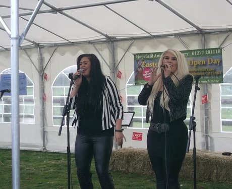 Hopefield Animal Sanctuary Fun Day