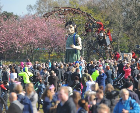 Sea Odyssey