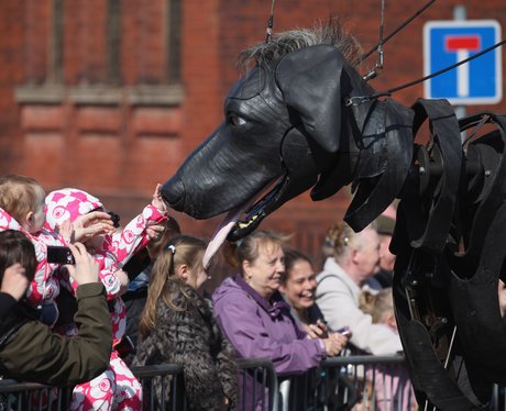 Sea Odyssey