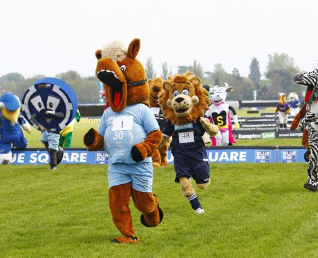Mascot Grand National