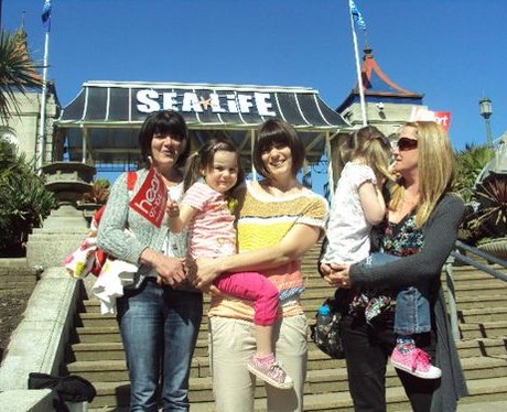 sealife centre
