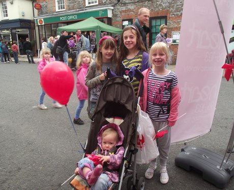 Bishops Waltham Festival