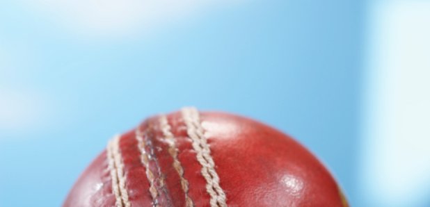 Cricket Ball