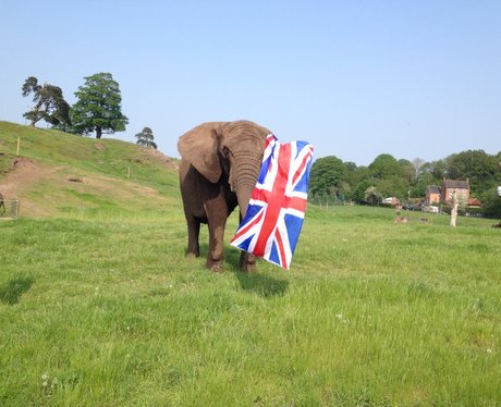 Olympic Torch - West Midlands
