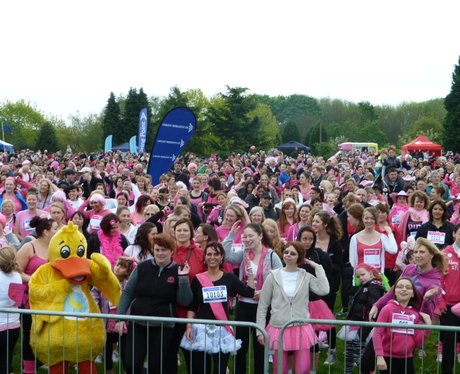 Race for Life Harlow