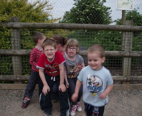 Marwell Zoo's 40th Birthday!