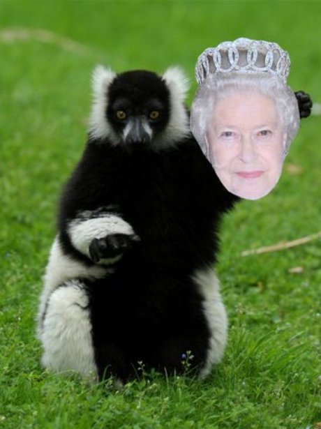 Woburn Jubilee Celebrations