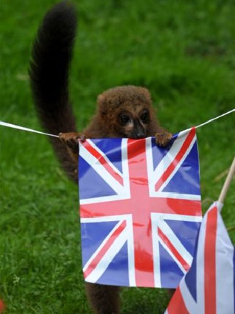 Woburn Jubilee Celebrations