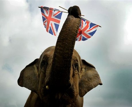 Woburn Jubilee Celebrations