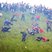 Image 5: Cheese Rolling in Gloucestershire 2012