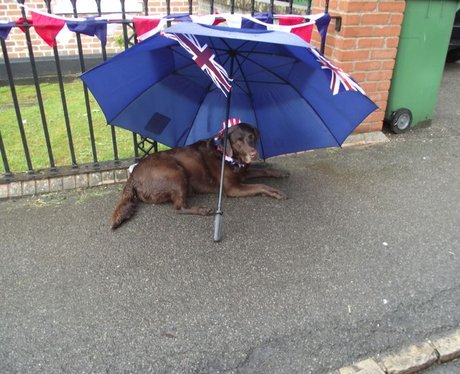 Goring & Streatley Jubilee Party